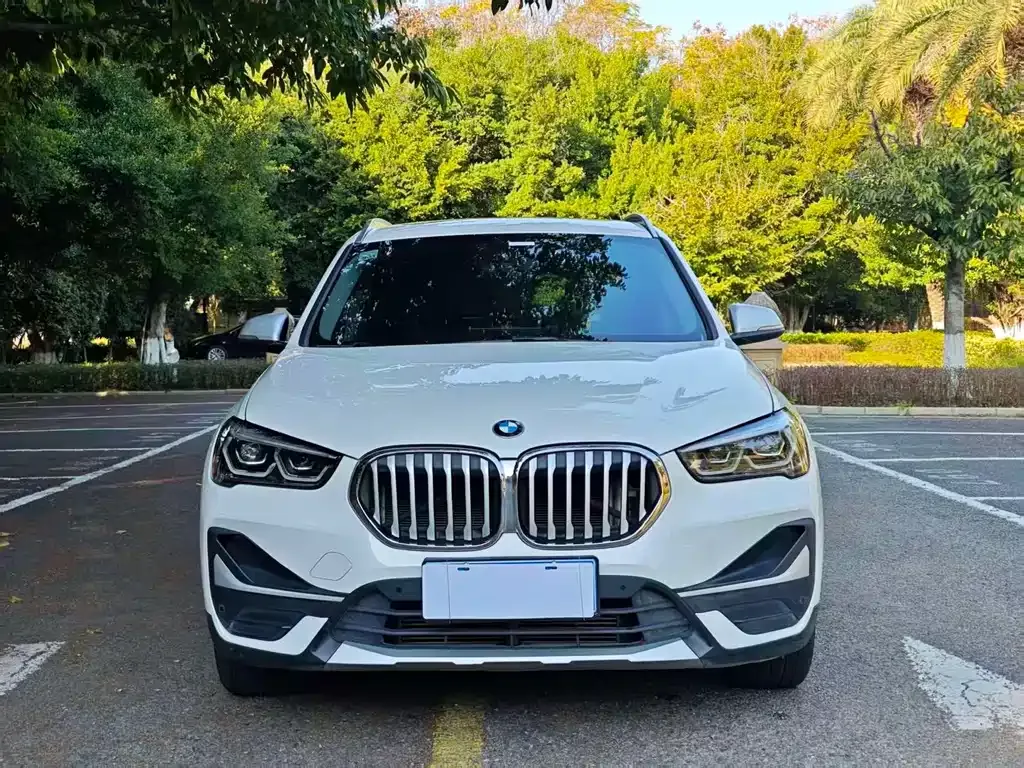 BMW X1 2021 из CN, фото 10