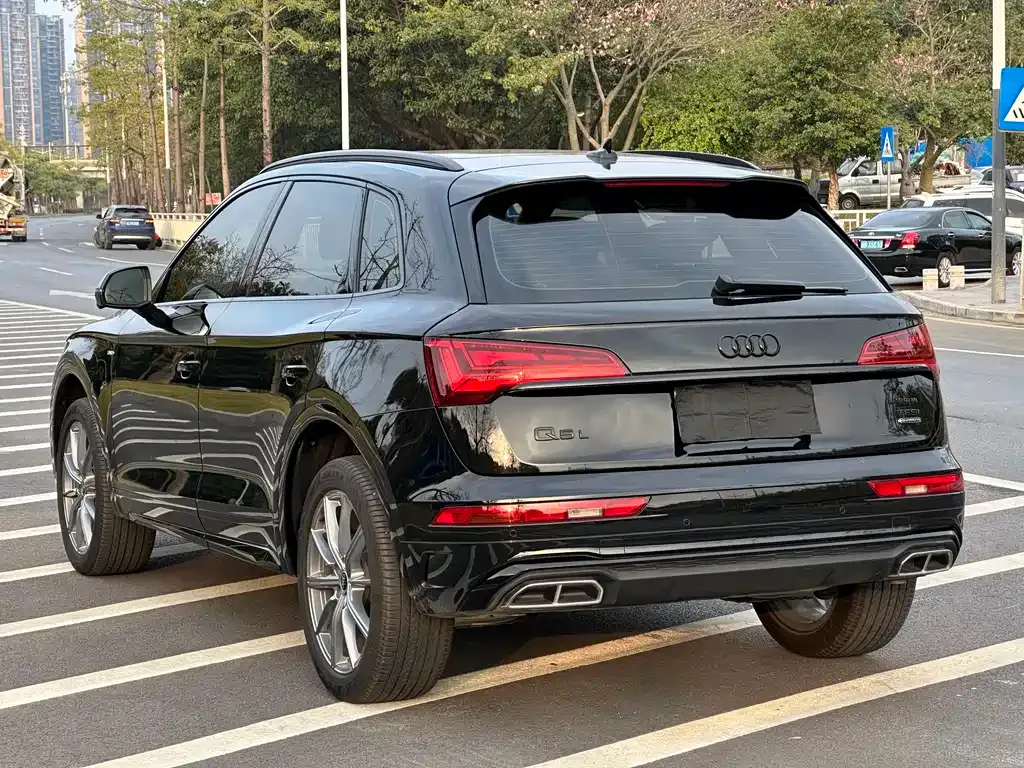 Audi Q5L 2025 из CN, фото 7