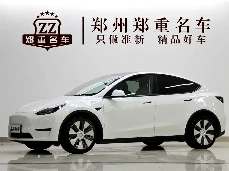 Tesla Model Y 2021 из CN, фото 1