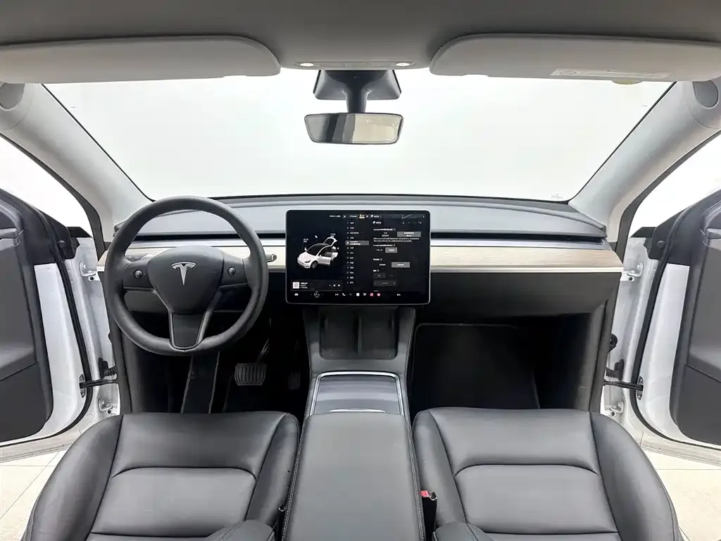 Tesla Model Y 2021 из CN, фото 9