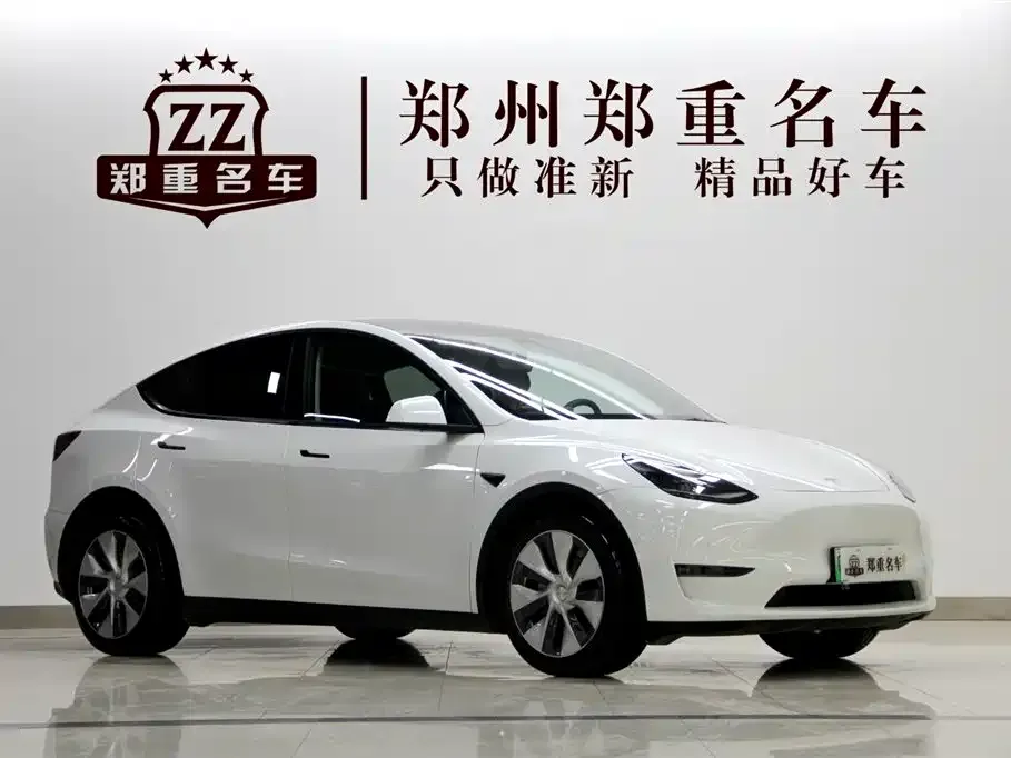 Tesla Model Y 2021 из CN, фото 2