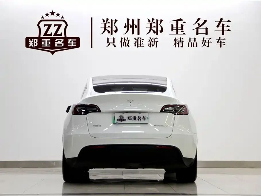 Tesla Model Y 2021 из CN, фото 7