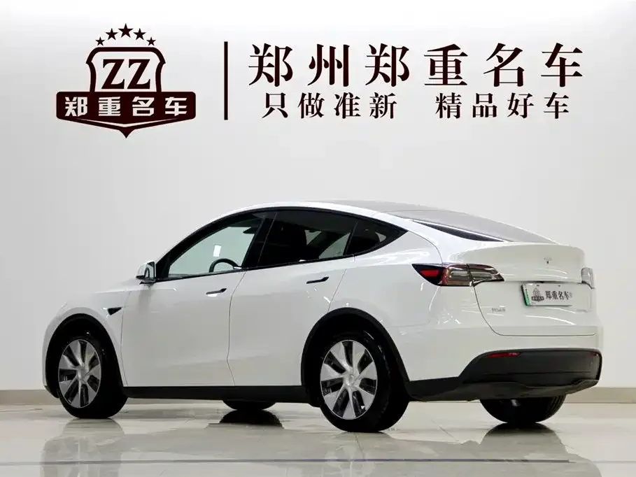Tesla Model Y 2021 из CN, фото 6
