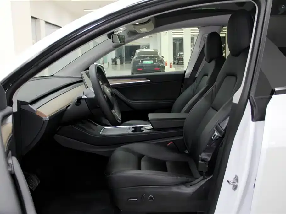 Tesla Model Y 2021 из CN, фото 10