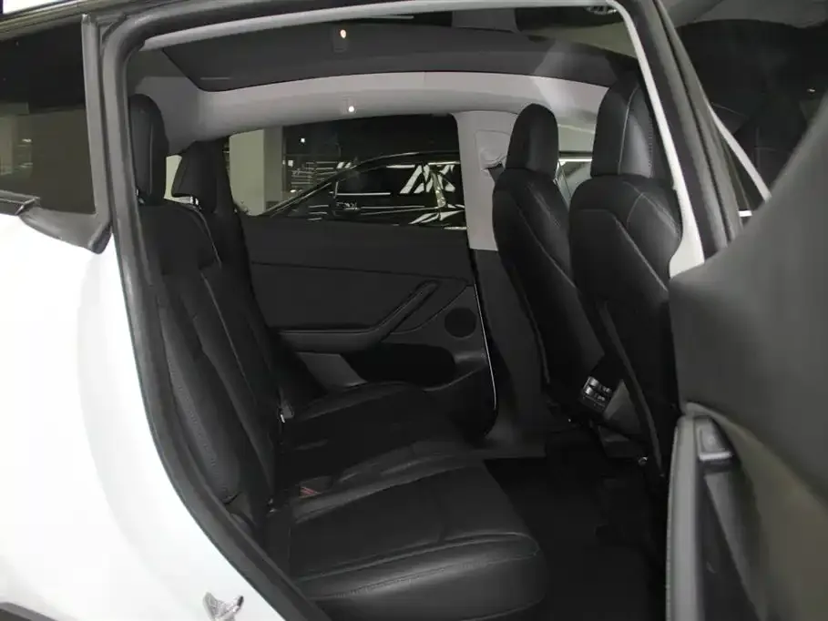 Tesla Model Y 2021 из CN, фото 5