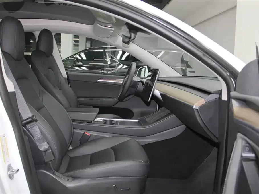 Tesla Model Y 2021 из CN, фото 4