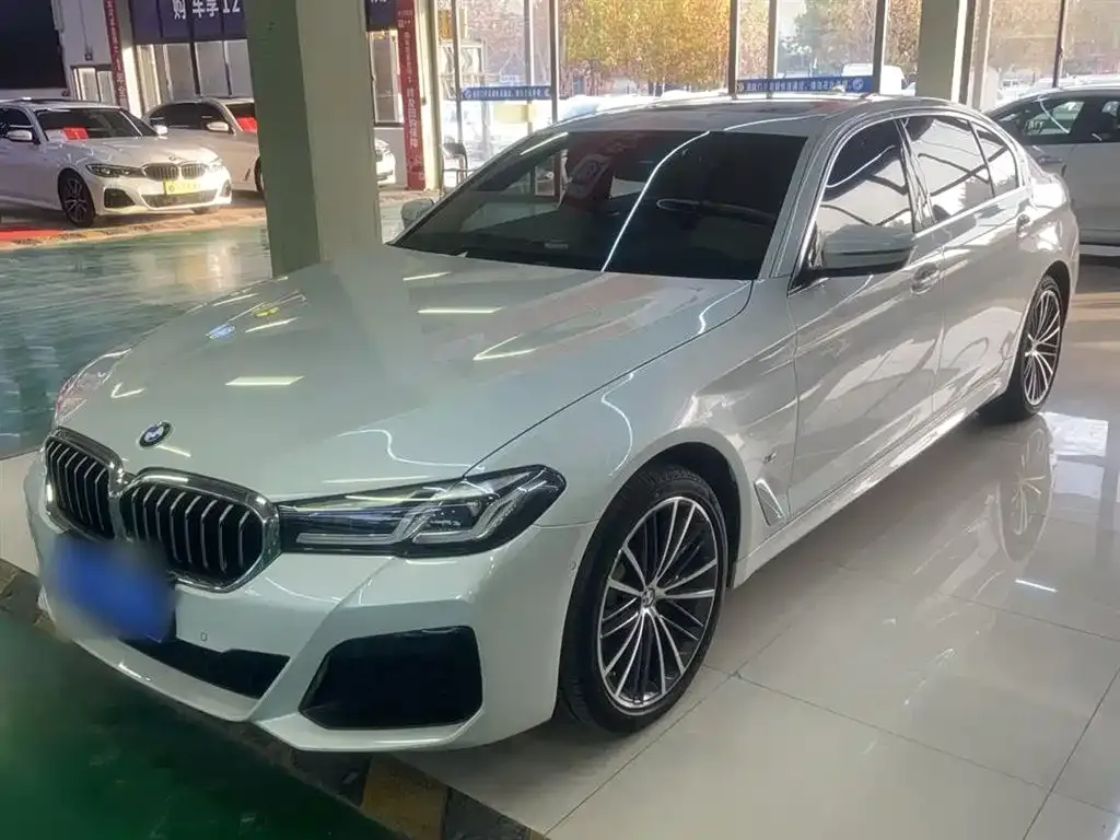 BMW 5 Series 2021 из CN, фото 2