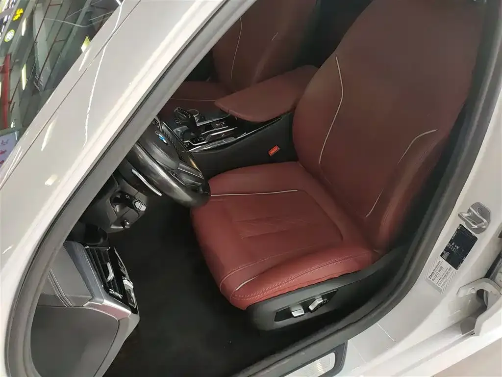 BMW 5 Series 2021 из CN, фото 10