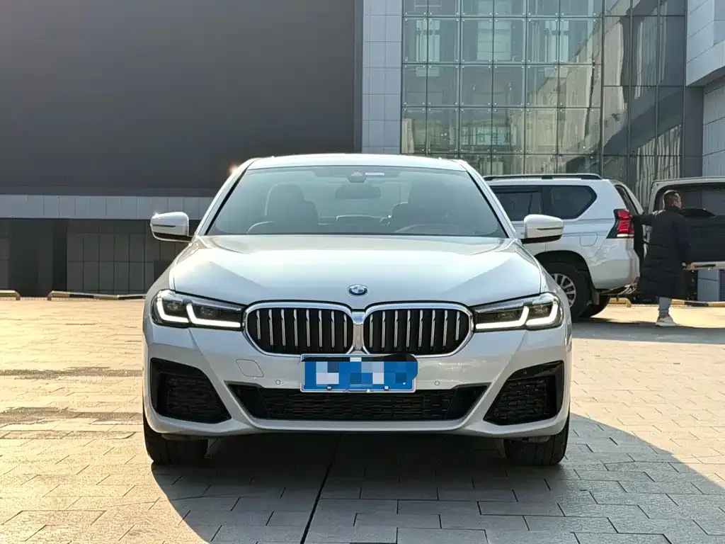 BMW 5 Series 2022 из CN, фото 6
