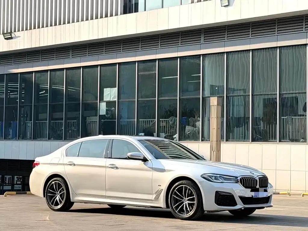 BMW 5 Series 2022 из CN, фото 9