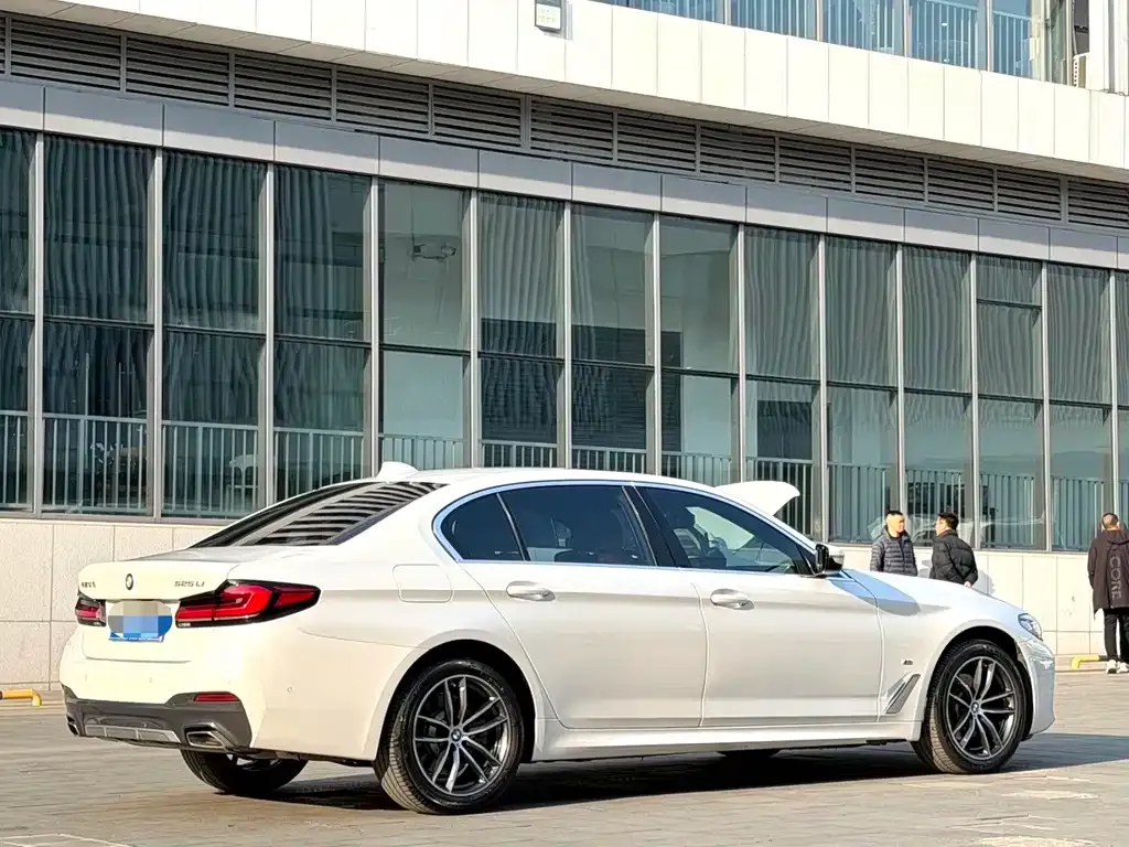 BMW 5 Series 2022 из CN, фото 5