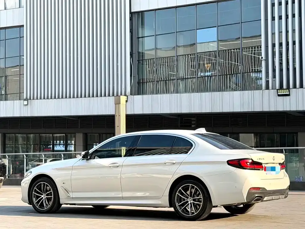 BMW 5 Series 2022 из CN, фото 8