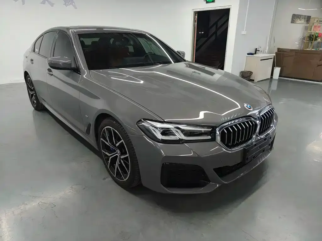 BMW 5 Series (Import) 2022 из CN, фото 5