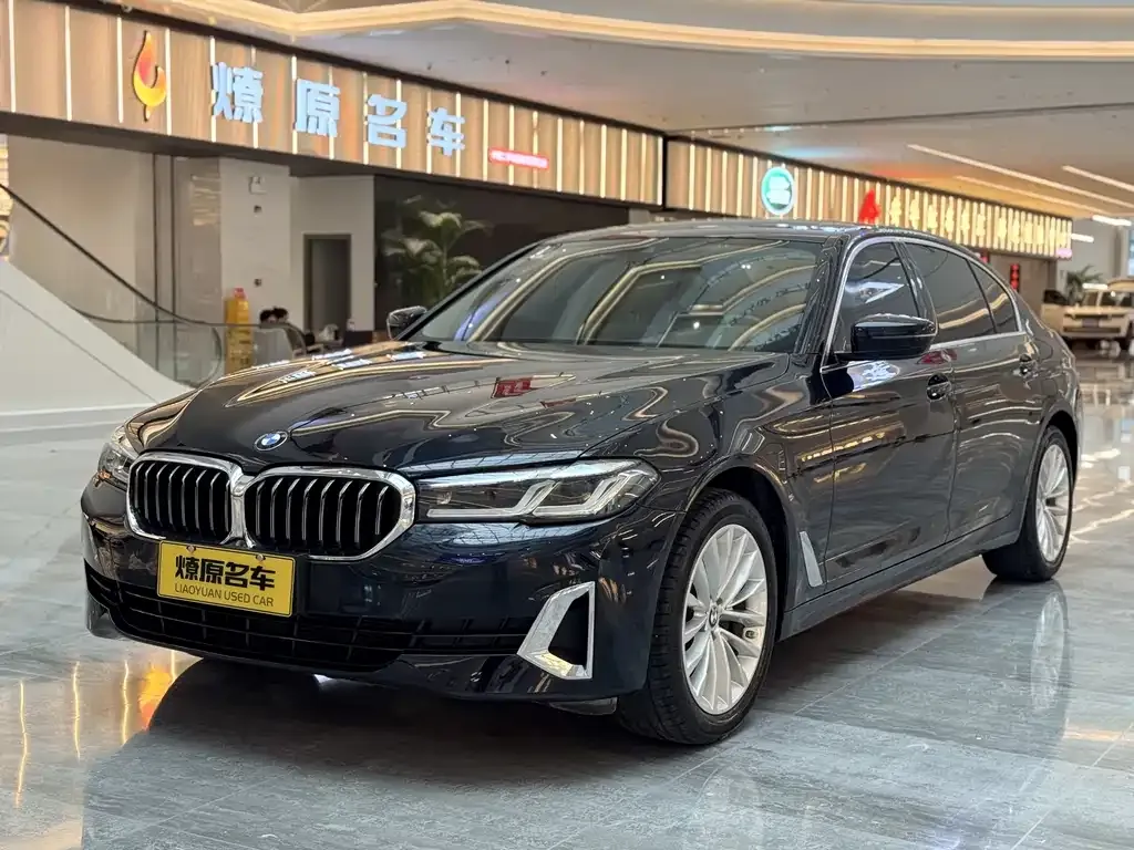 BMW 5 Series 2021 из CN, фото 1