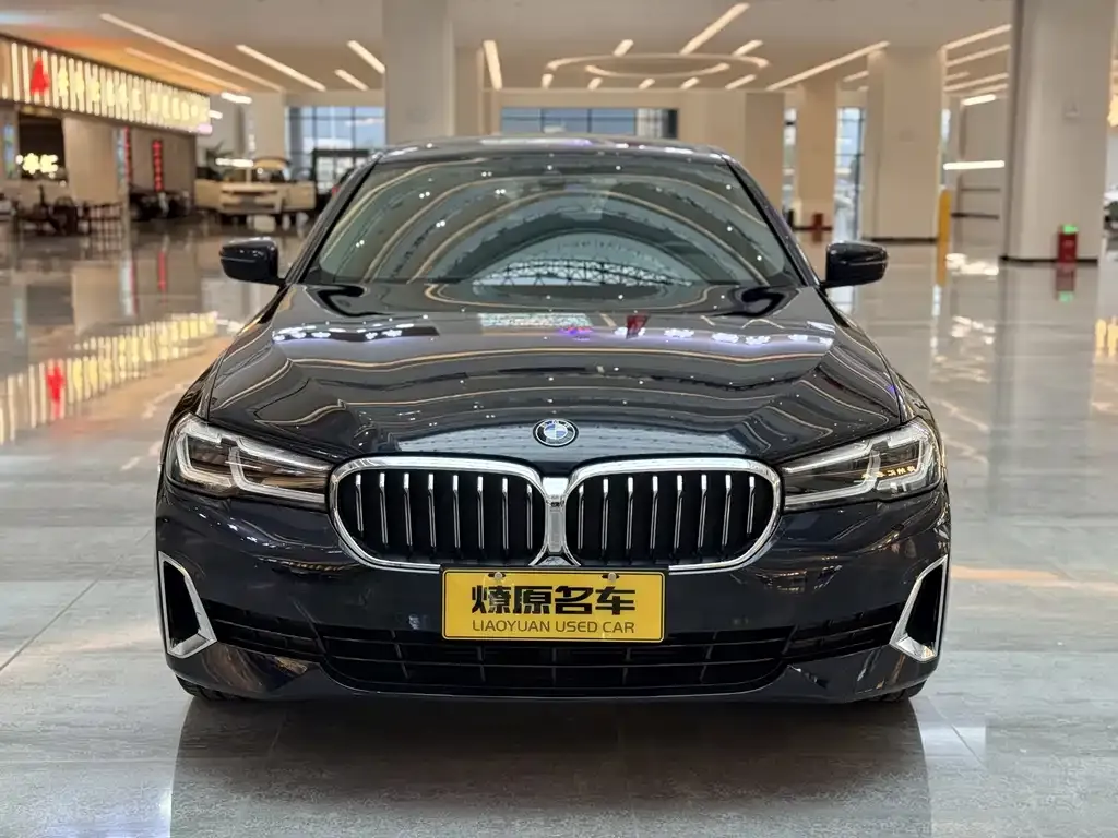 BMW 5 Series 2021 из CN, фото 2