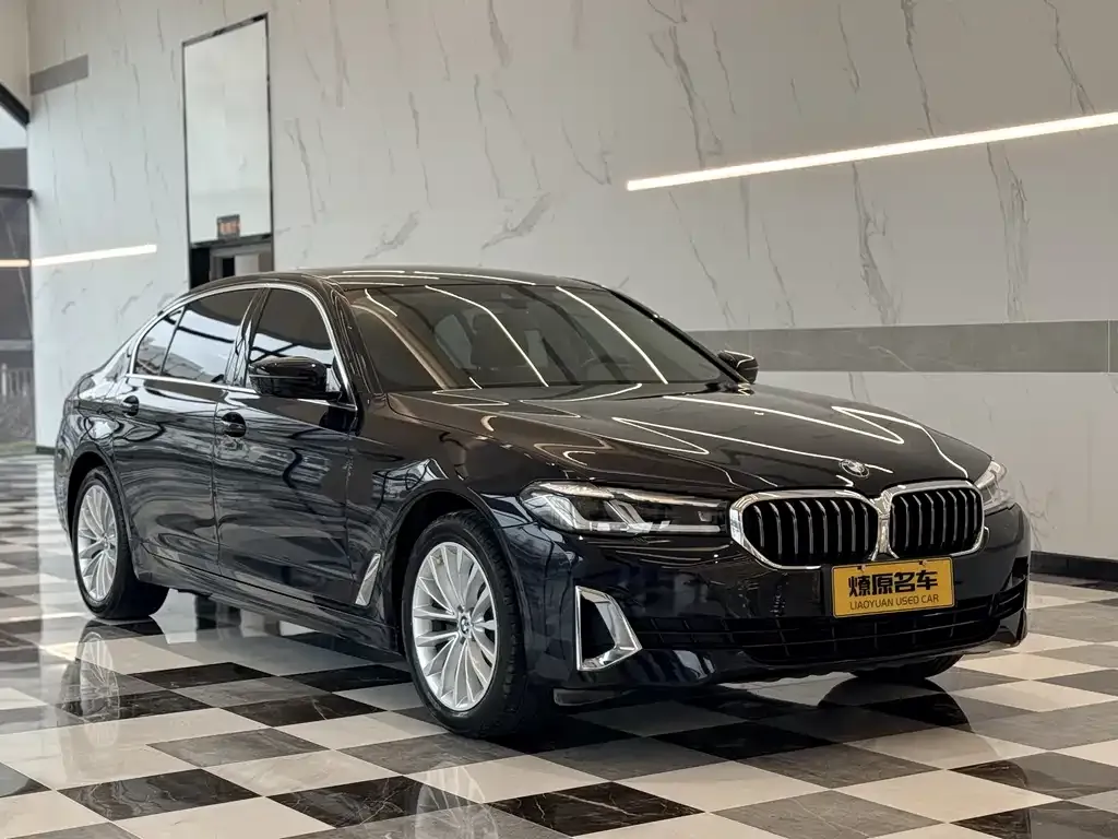 BMW 5 Series 2021 из CN, фото 3