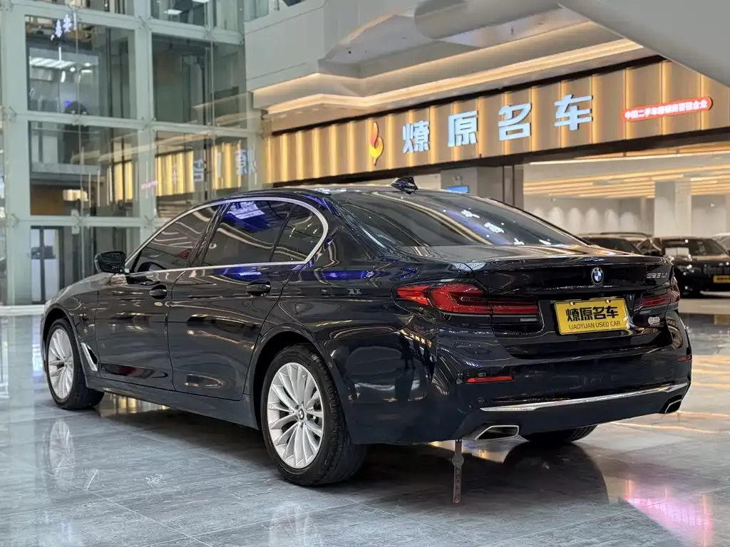 BMW 5 Series 2021 из CN, фото 9