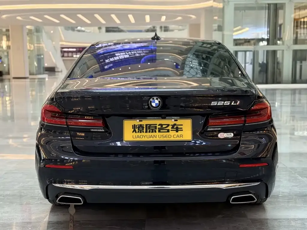 BMW 5 Series 2021 из CN, фото 7