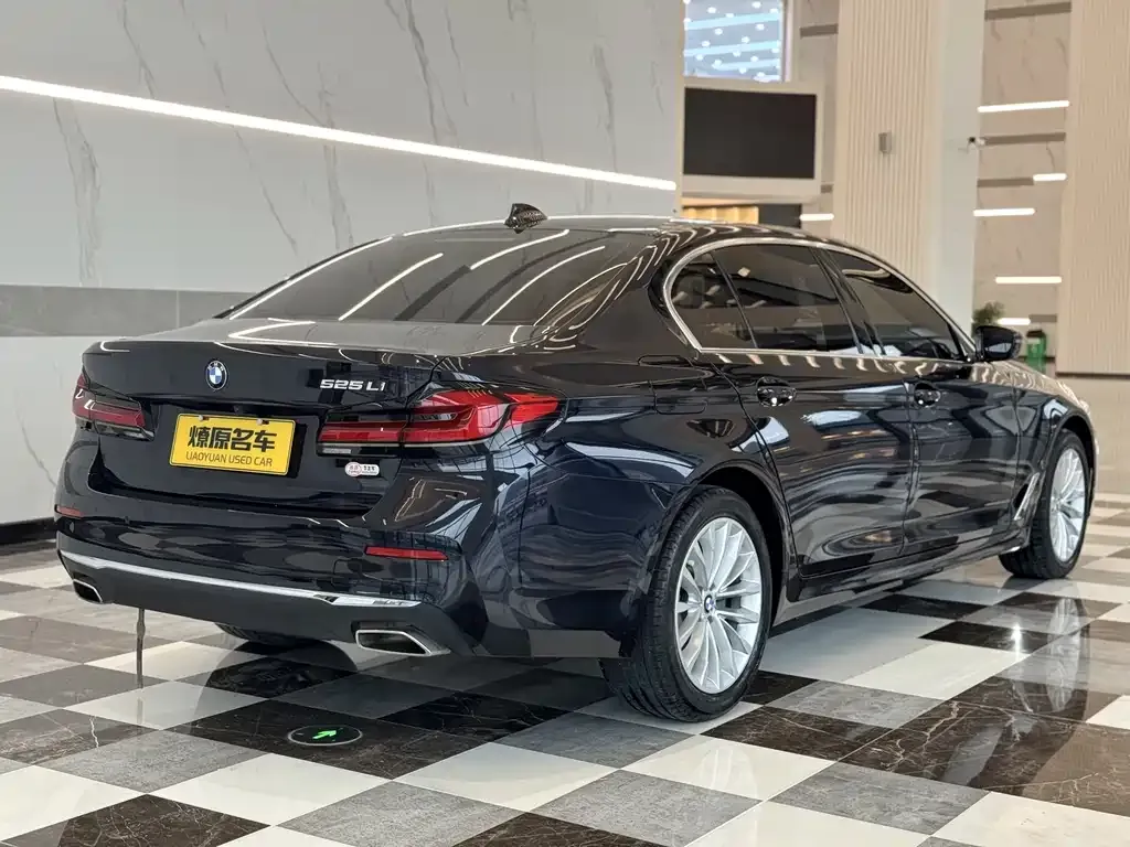 BMW 5 Series 2021 из CN, фото 5
