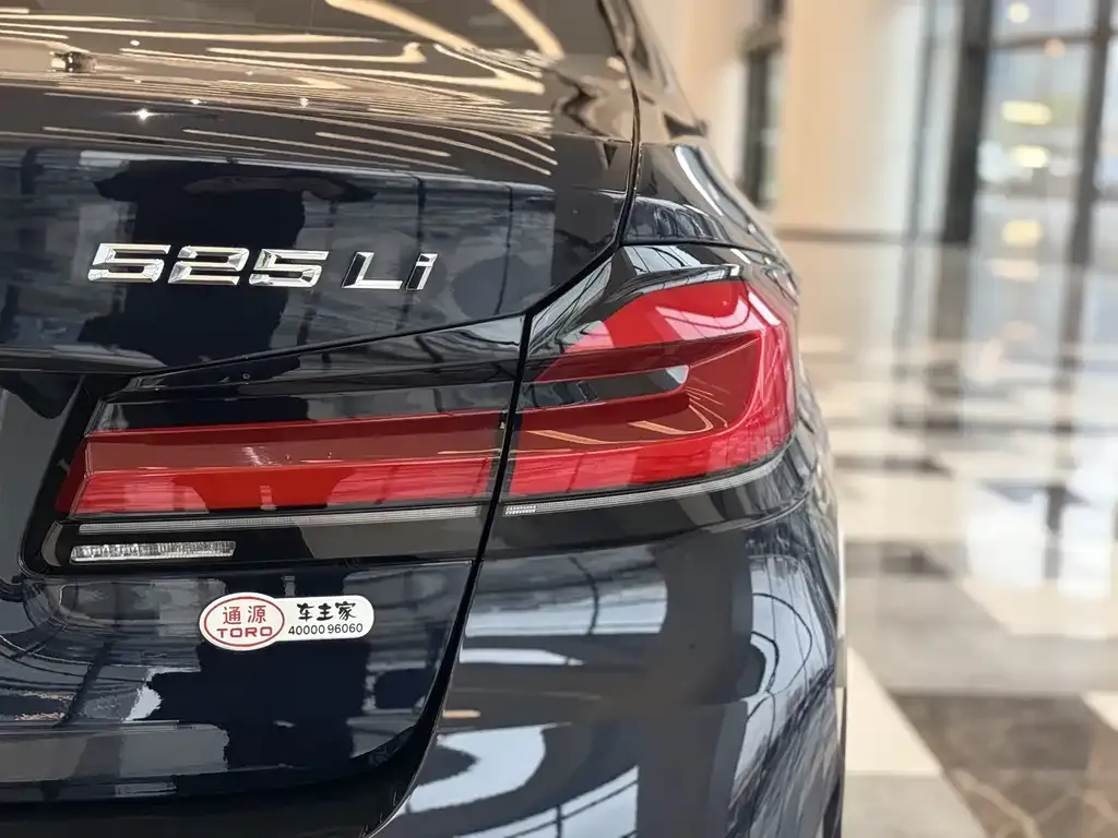 BMW 5 Series 2021 из CN, фото 10