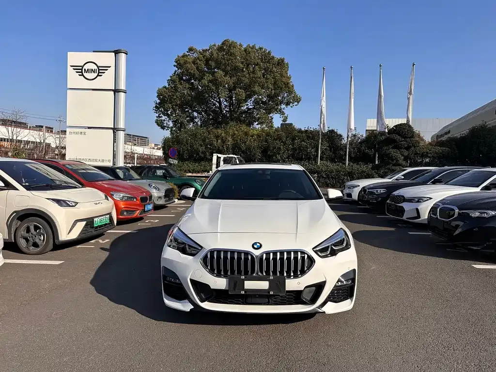 BMW 2 Series (Import) 2024 из CN, фото 10