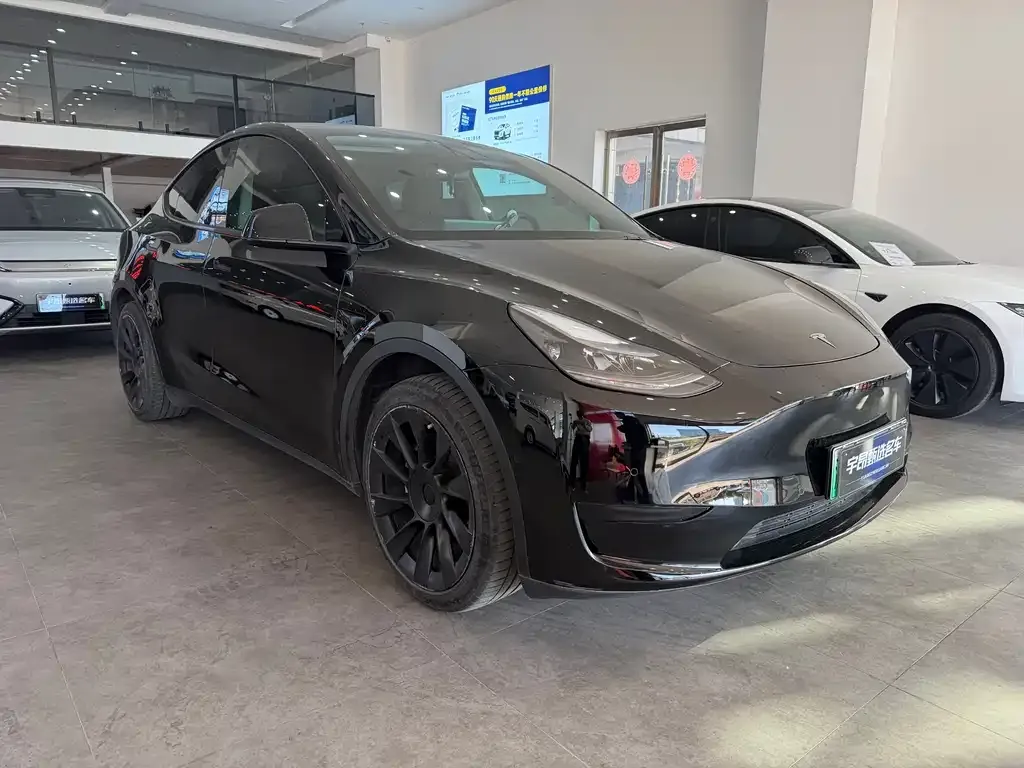 Tesla Model Y 2022 из CN, фото 3