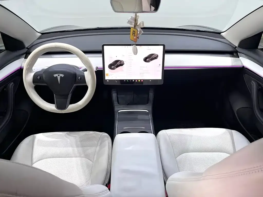 Tesla Model 3 2023 из CN, фото 6