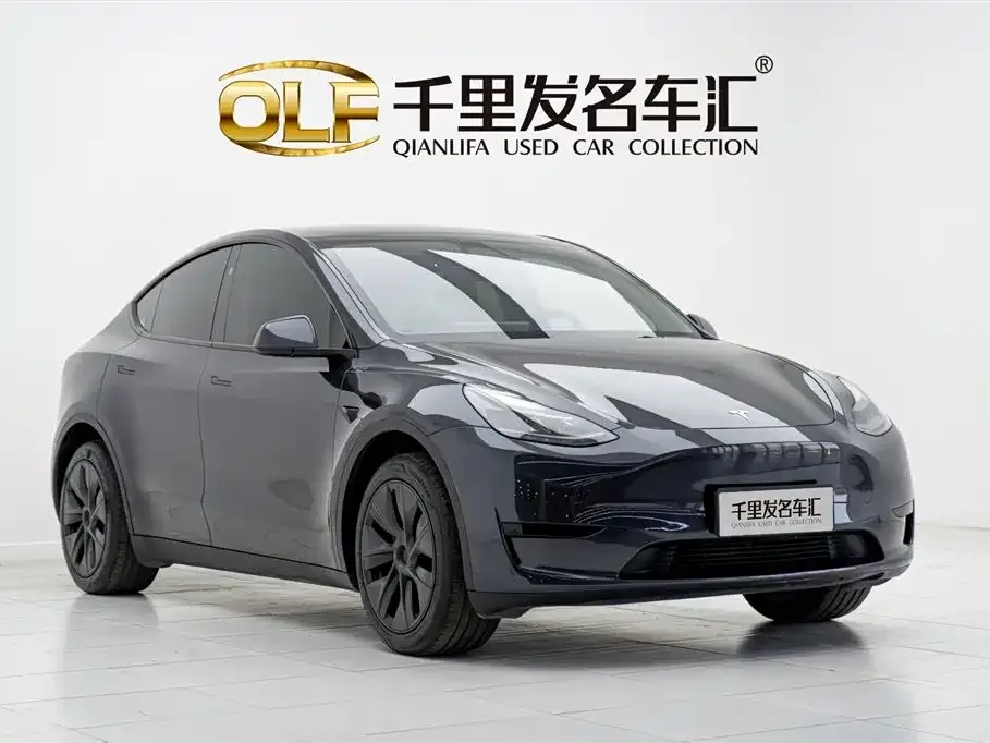 Tesla Model Y 2024 из CN, фото 6