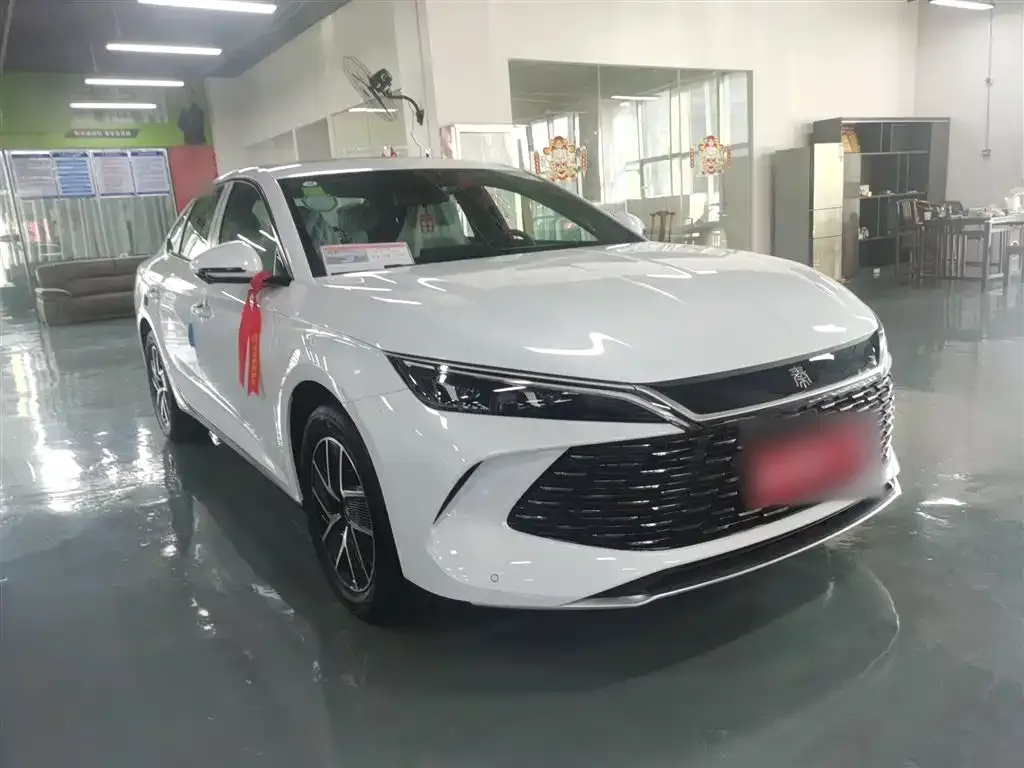BYD Qin L 2025 из CN, фото 6