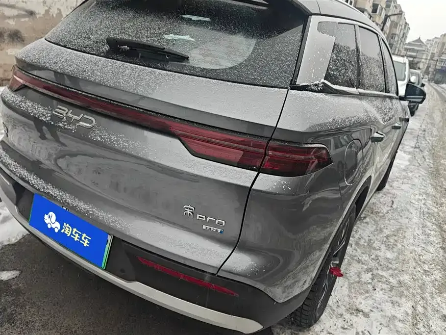 BYD Pro New Energy 2025 из CN, фото 9