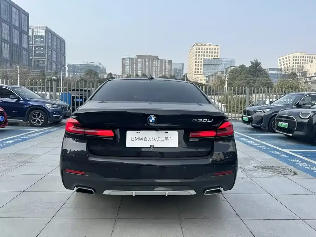 BMW 5 Series 2022 из CN, фото 4