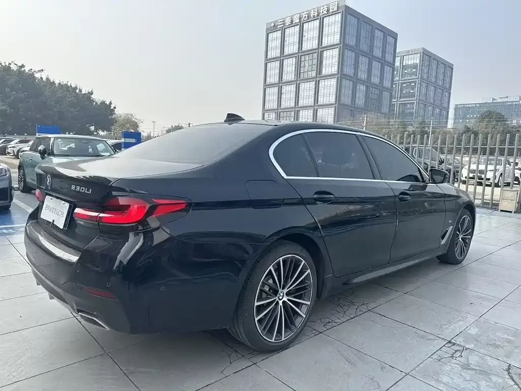 BMW 5 Series 2022 из CN, фото 6