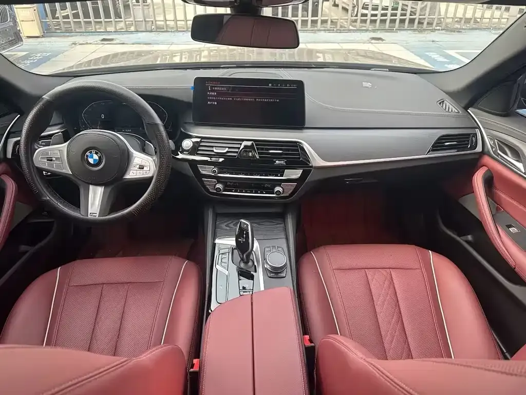BMW 5 Series 2022 из CN, фото 8