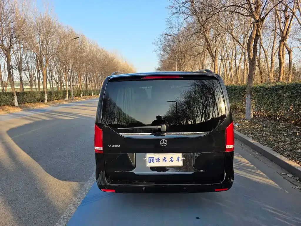 Mercedes-Benz V-Class 2024 из CN, фото 6