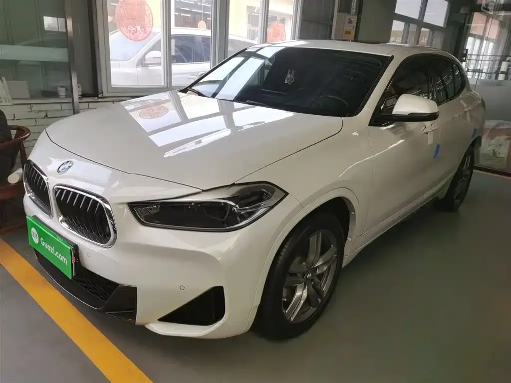 BMW X2 2022 из CN, фото 2