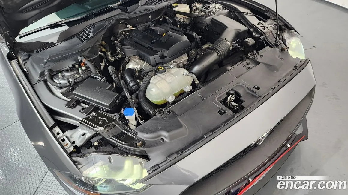 Ford Mustang 2021 из KR, фото 7