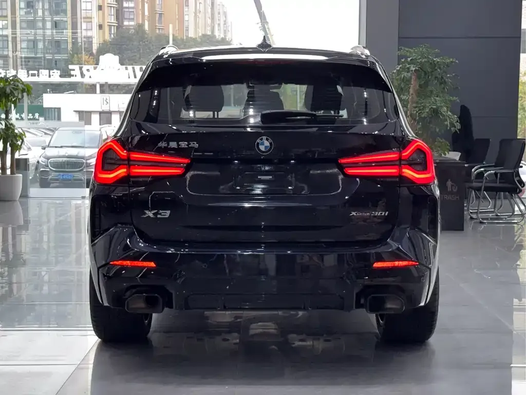 BMW X3 2021 из CN, фото 6