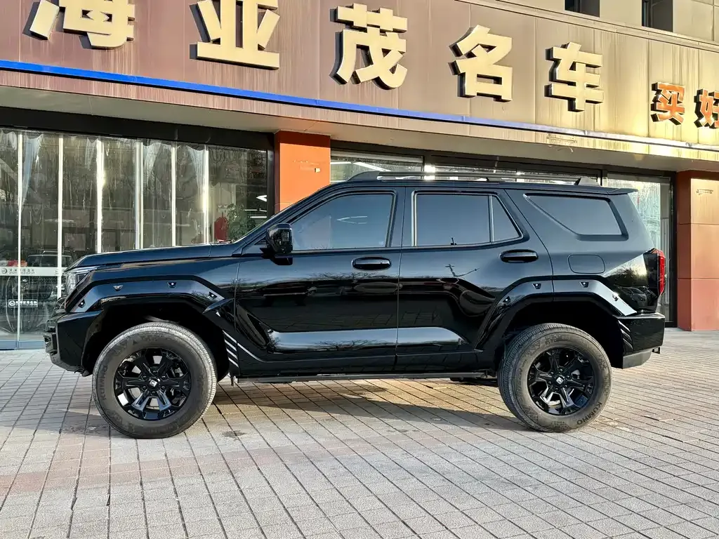 Tank 400 New Energy 2024 из CN, фото 8