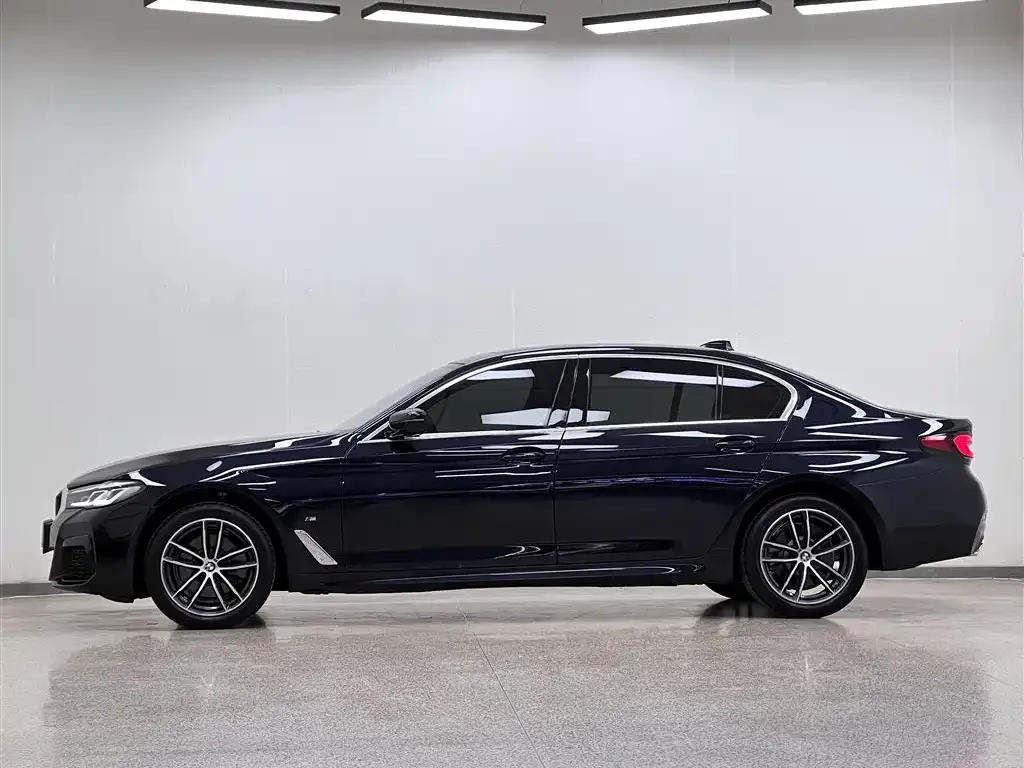 BMW 5 Series 2022 из CN, фото 8
