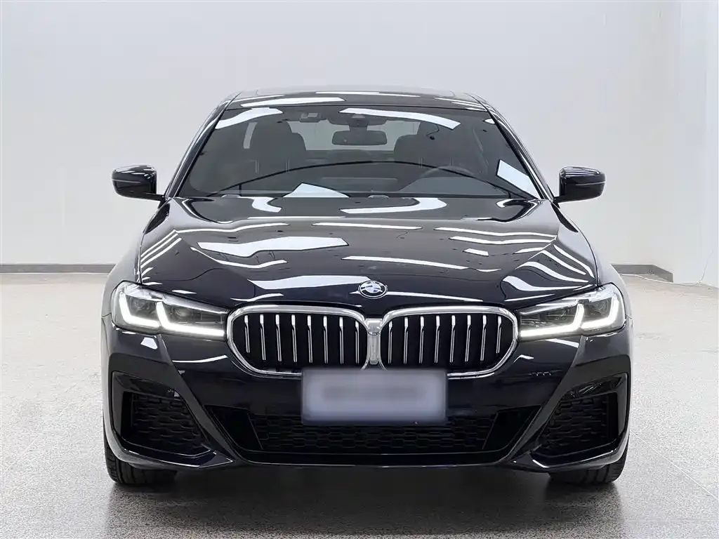 BMW 5 Series 2022 из CN, фото 6
