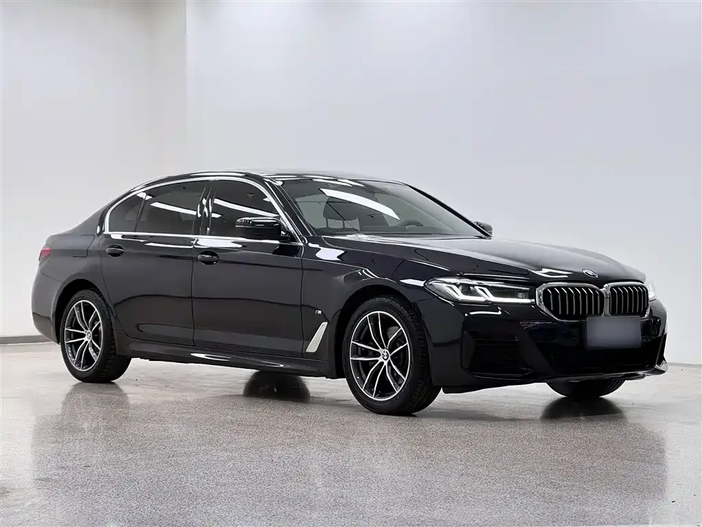 BMW 5 Series 2022 из CN, фото 10