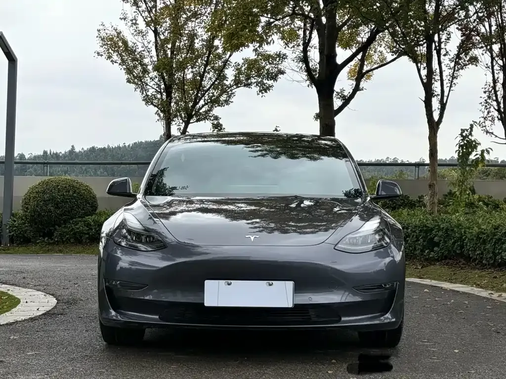 Tesla Model 3 2022 из CN, фото 4