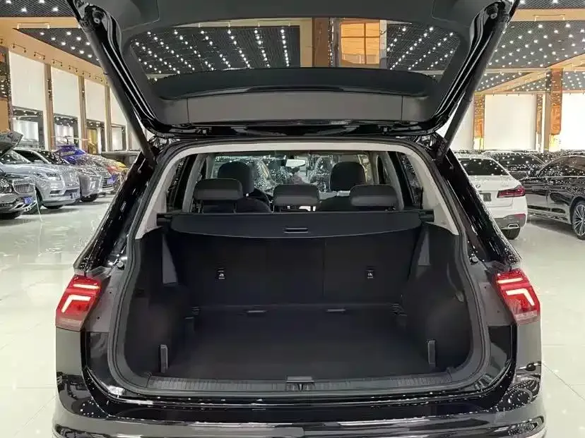 Volkswagen Tiguan L 2023 из CN, фото 6