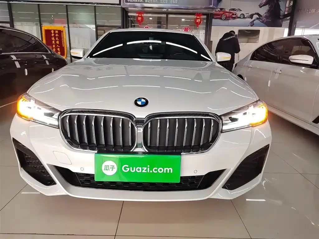 BMW 5 Series 2021 из CN, фото 7