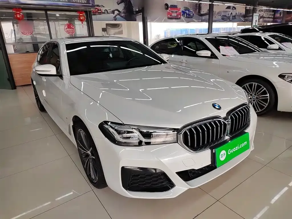 BMW 5 Series 2021 из CN, фото 6