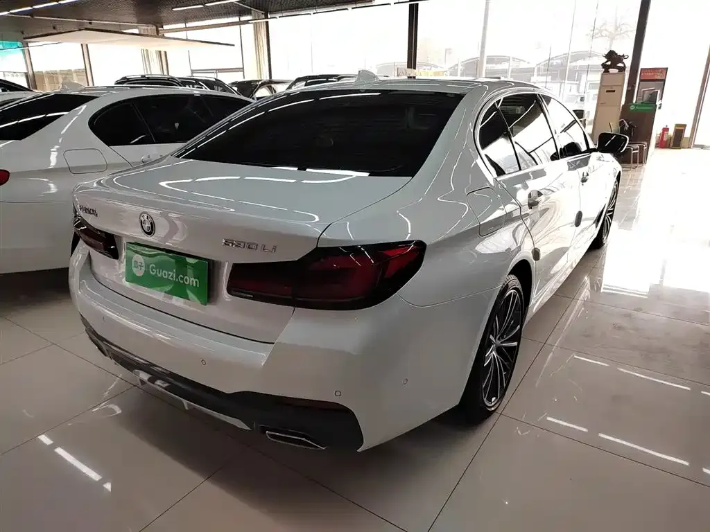 BMW 5 Series 2021 из CN, фото 9