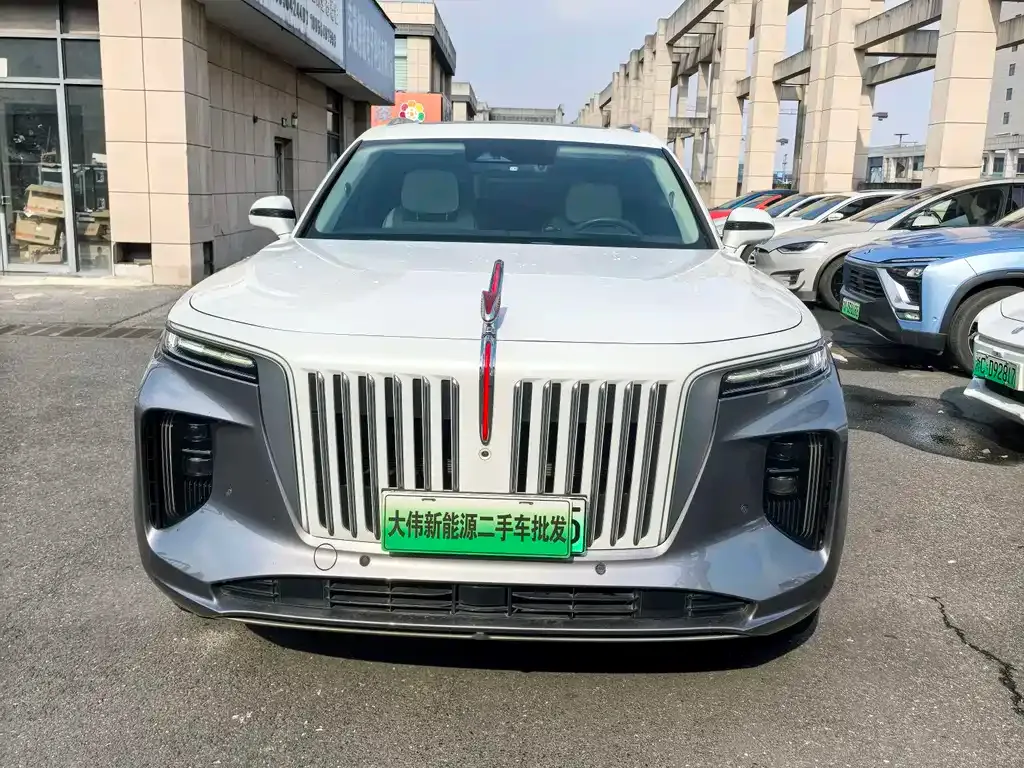 Hongqi E-HS9 2022 из CN, фото 10
