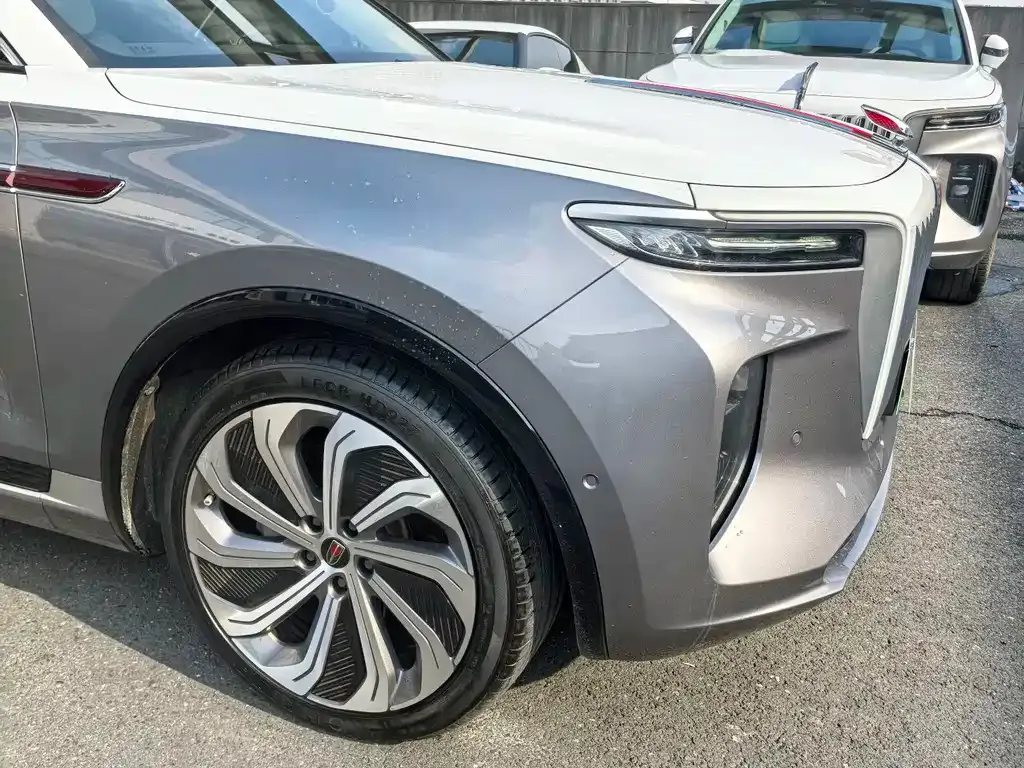 Hongqi E-HS9 2022 из CN, фото 8