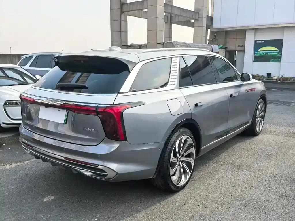 Hongqi E-HS9 2022 из CN, фото 5