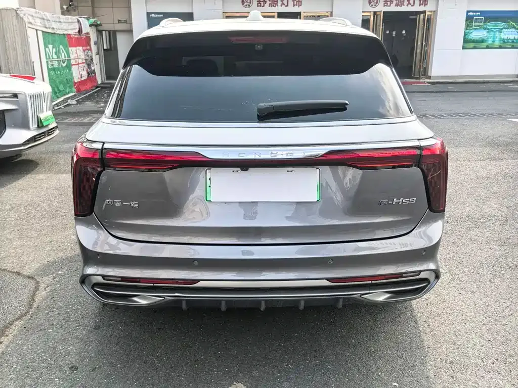 Hongqi E-HS9 2022 из CN, фото 4